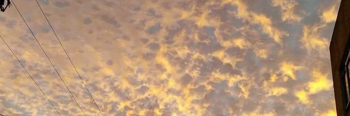 Simonsimonazzo's profile banner image