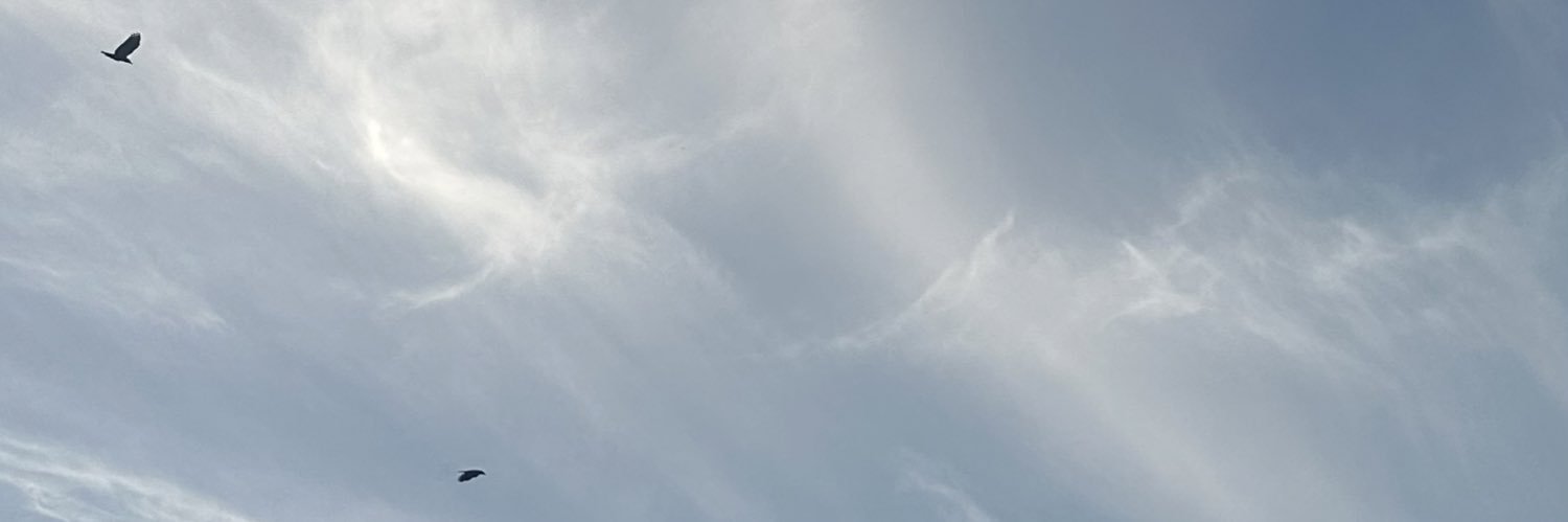 arwa_es_a's profile banner image