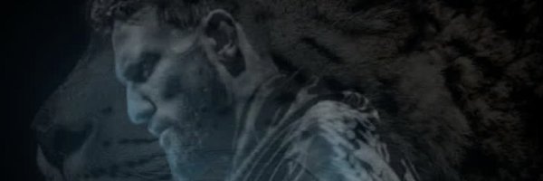 JavidBasharat Profile Banner