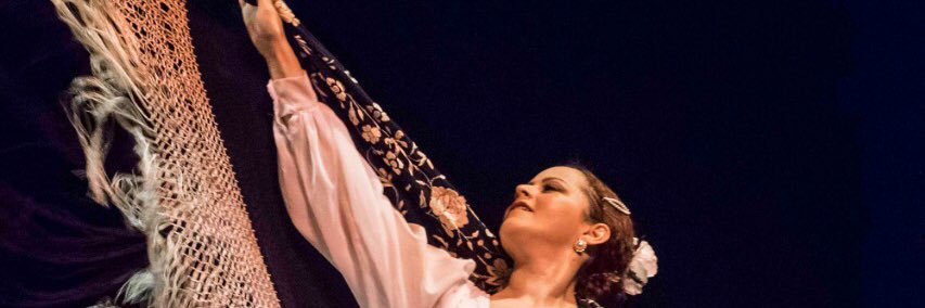 elisa_mg's profile banner image