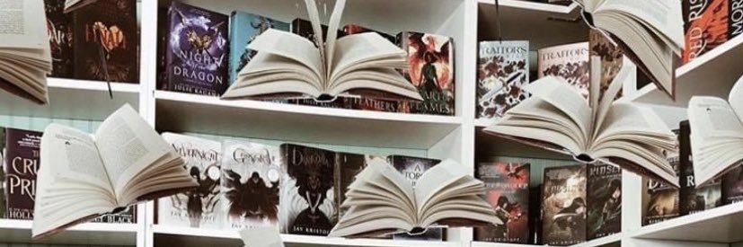 Ogden Library Lady banner