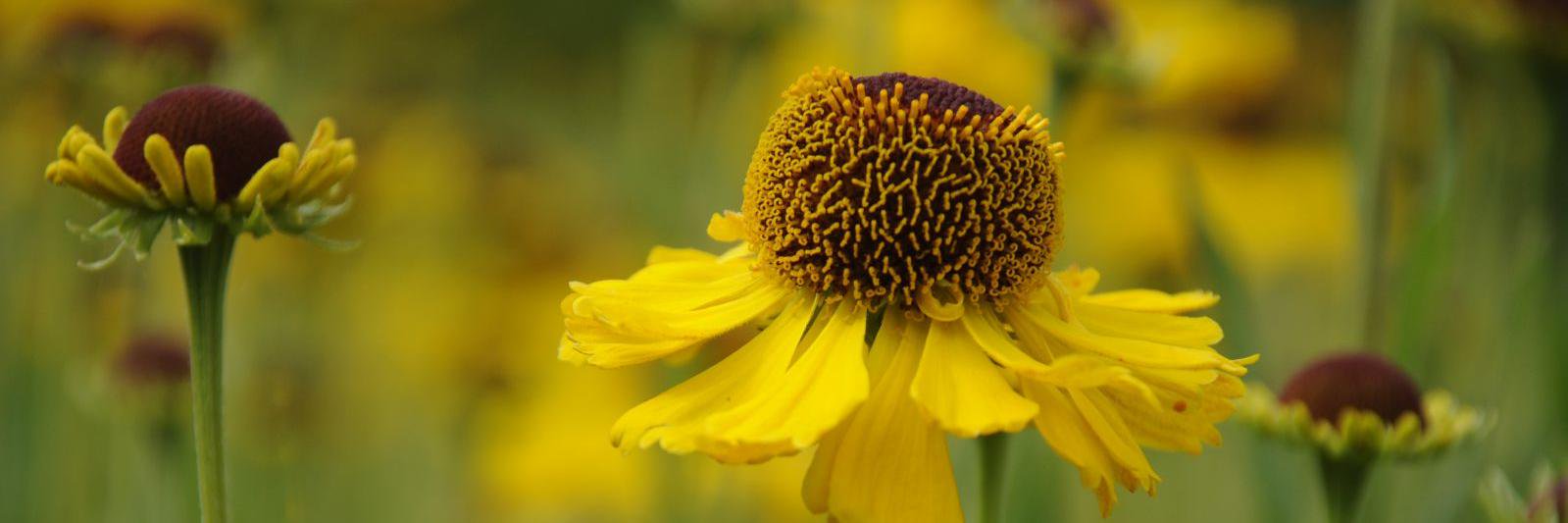 arthurroad's profile banner image