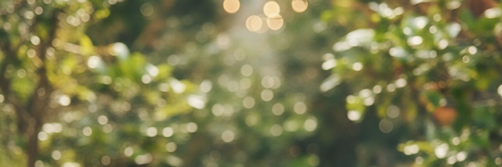 Topicnow's profile banner image