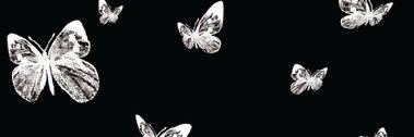 noze_OrLri's profile banner image