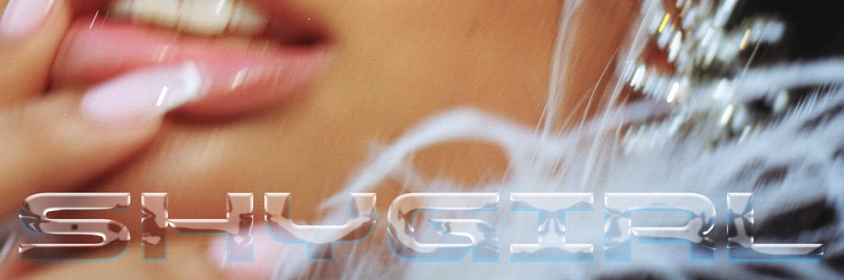 CARTON_DELULU ♡ ֶָ֢.♡ banner