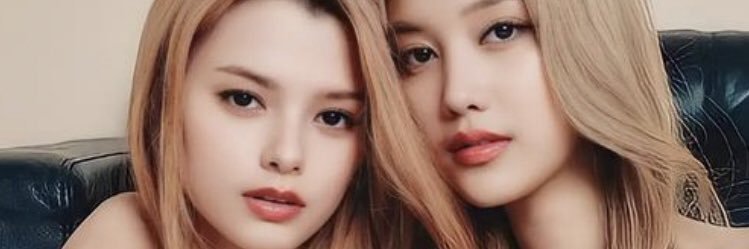 LESJA banner