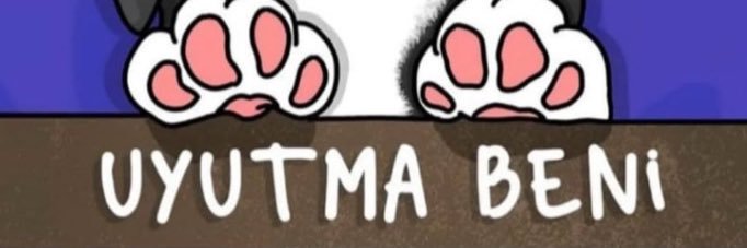 BelginAkol's profile banner image