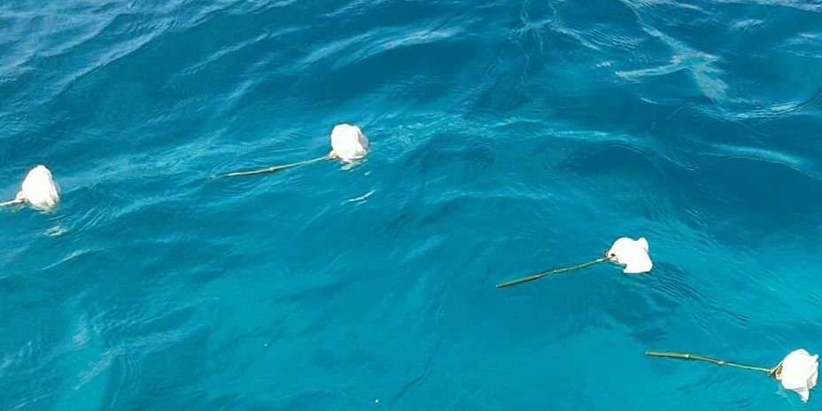 ♡ Marisol ♡ 🇻🇪💫🇪🇸 banner