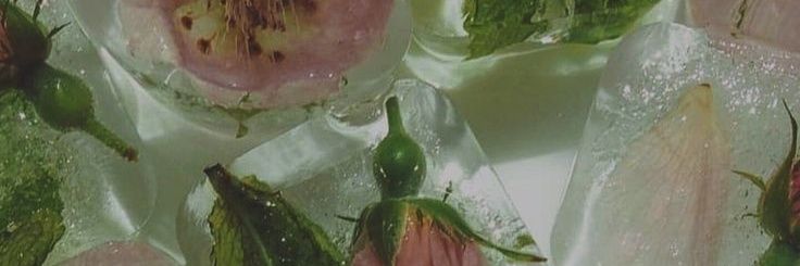 favvve_sdh's profile banner image