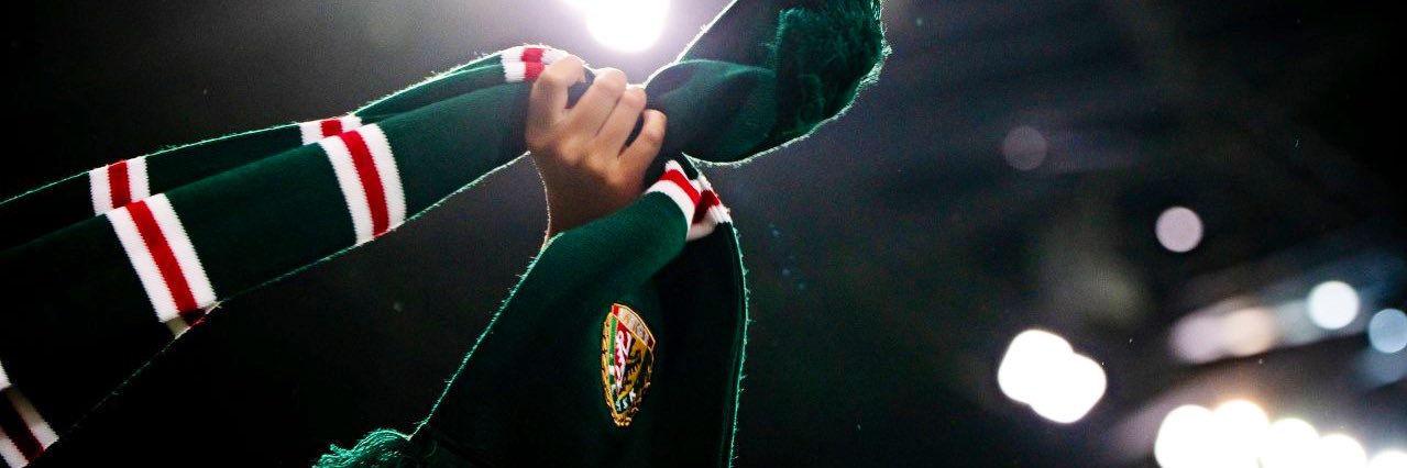 Śląsk Wrocław FR 🇫🇷 banner