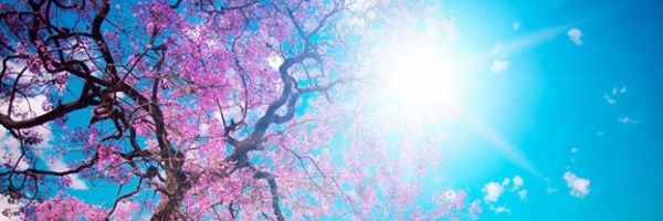 yeldayucel Profile Banner