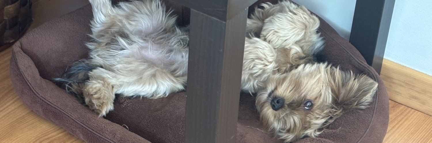 zzelizzz's profile banner image