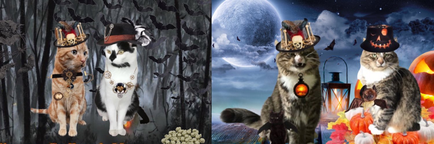 Mia 🕊️peace and love 🕊️Mittens, Oscar & Prince banner