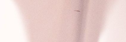noellecaress's profile banner image