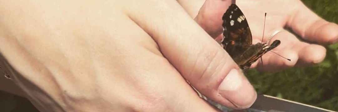 Jennifer Boyd banner