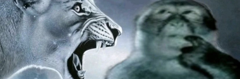 creativa_caja's profile banner image