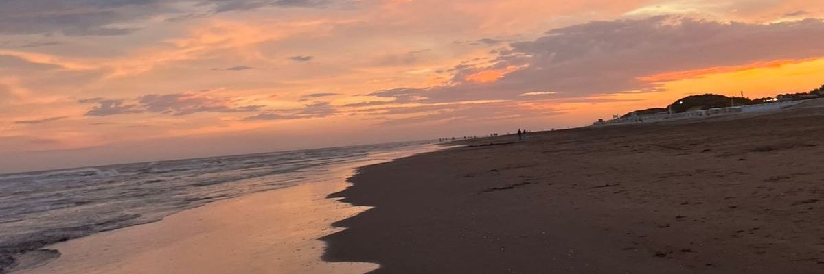 _soofiherrera's profile banner image