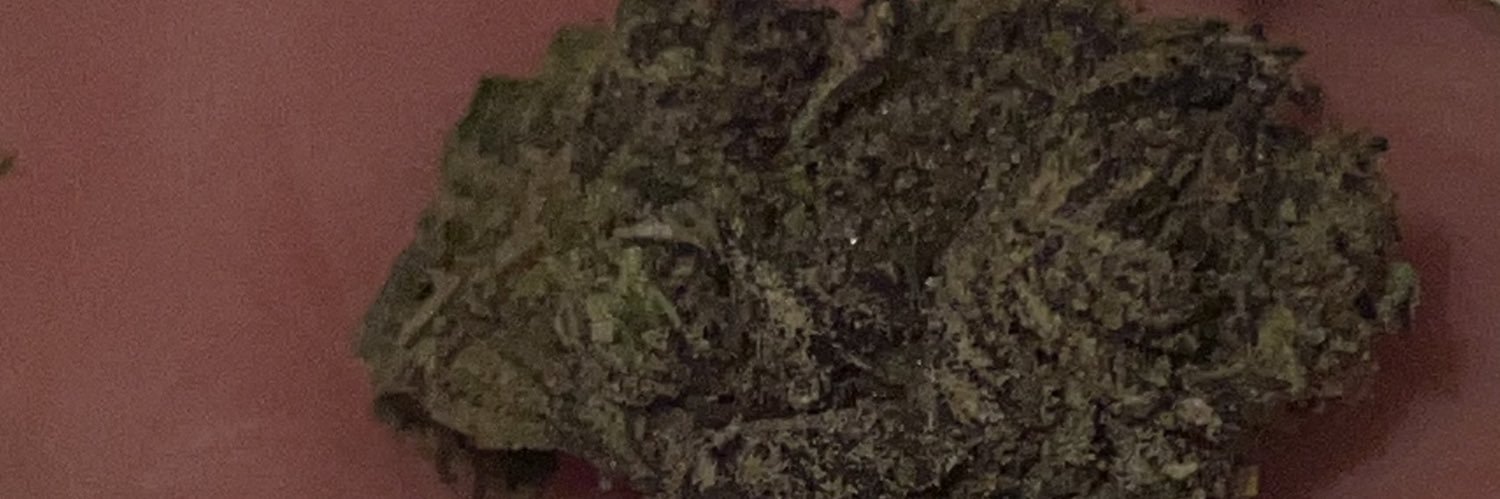 MissLacey_20 banner