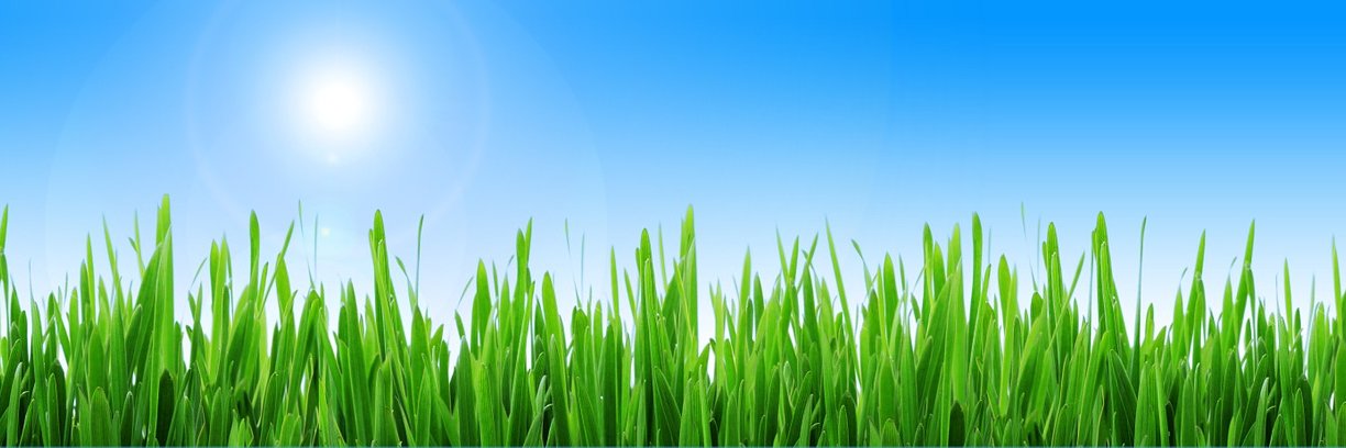 APS Turfgrass Pathology Committee banner