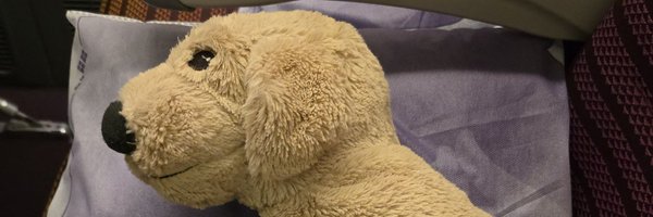 zyekonim Profile Banner