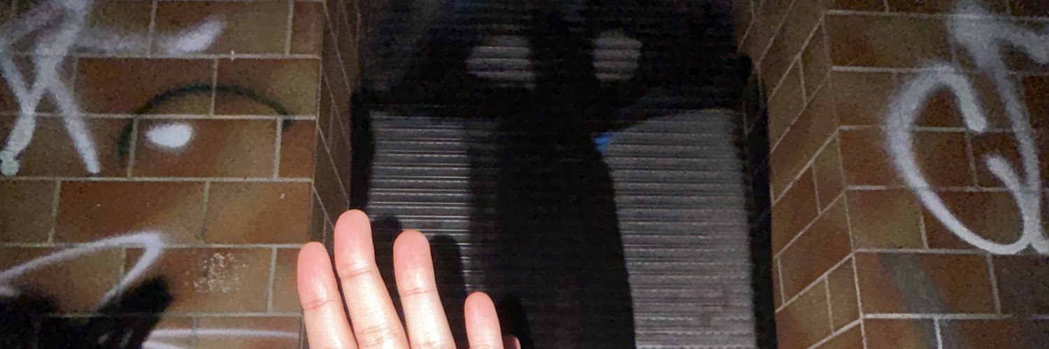 anna luiza banner