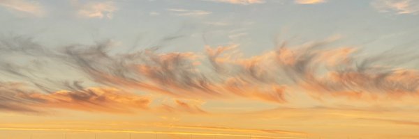 amluw Profile Banner