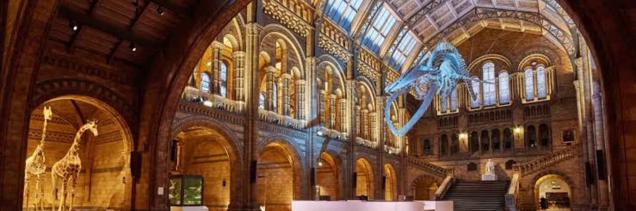 The Autistic Book Club 🇬🇧🏴󠁧󠁢󠁥󠁮󠁧󠁿🇦🇺 banner