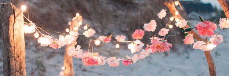 charleyh101's profile banner image