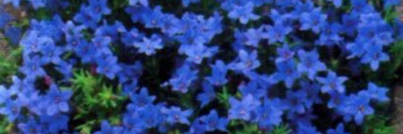 Moniquerm50's profile banner image