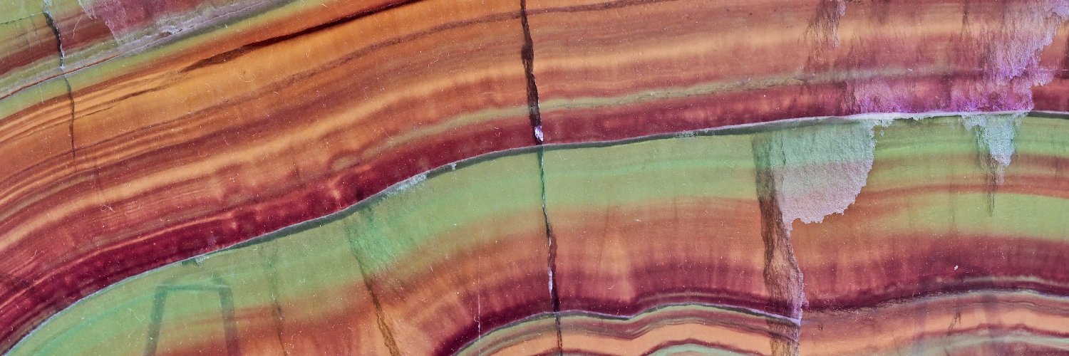 Crypto Darwin banner