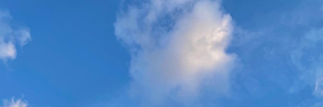 🐾 banner