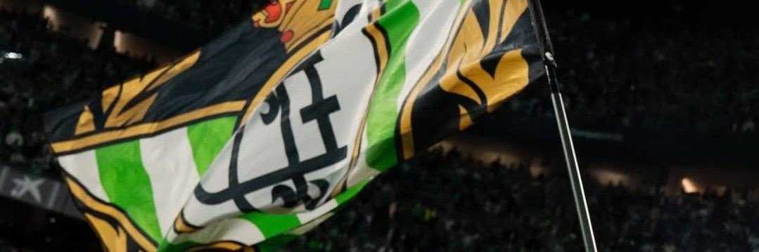castillofdezz's profile banner image