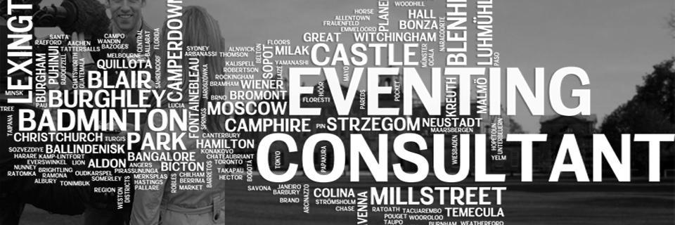 Eventing Consultant banner