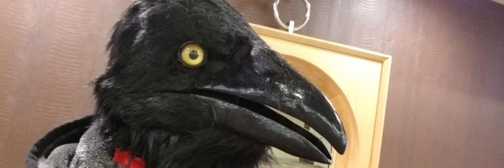 Razar_theRaven's profile banner image