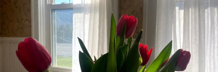 precious2320's profile banner image