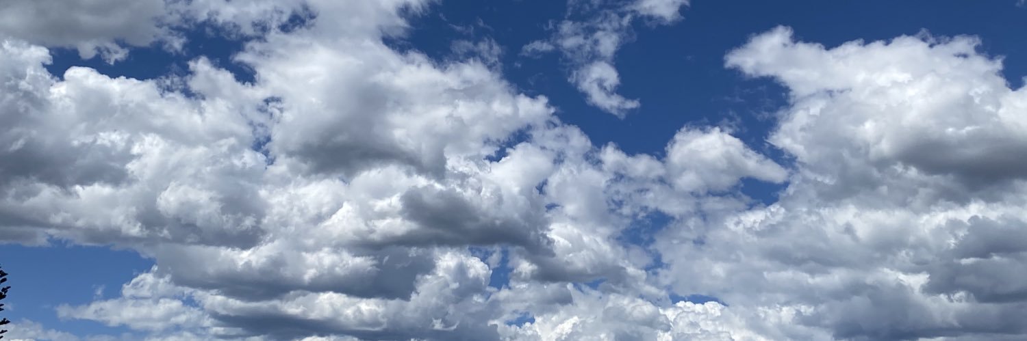 mickydepp's profile banner image