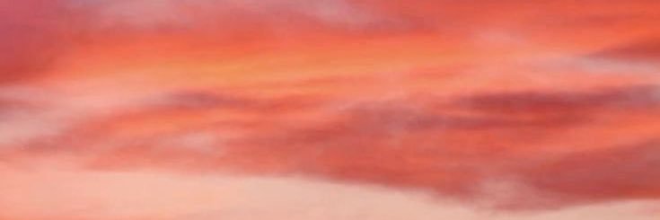 ocometaharley's profile banner image