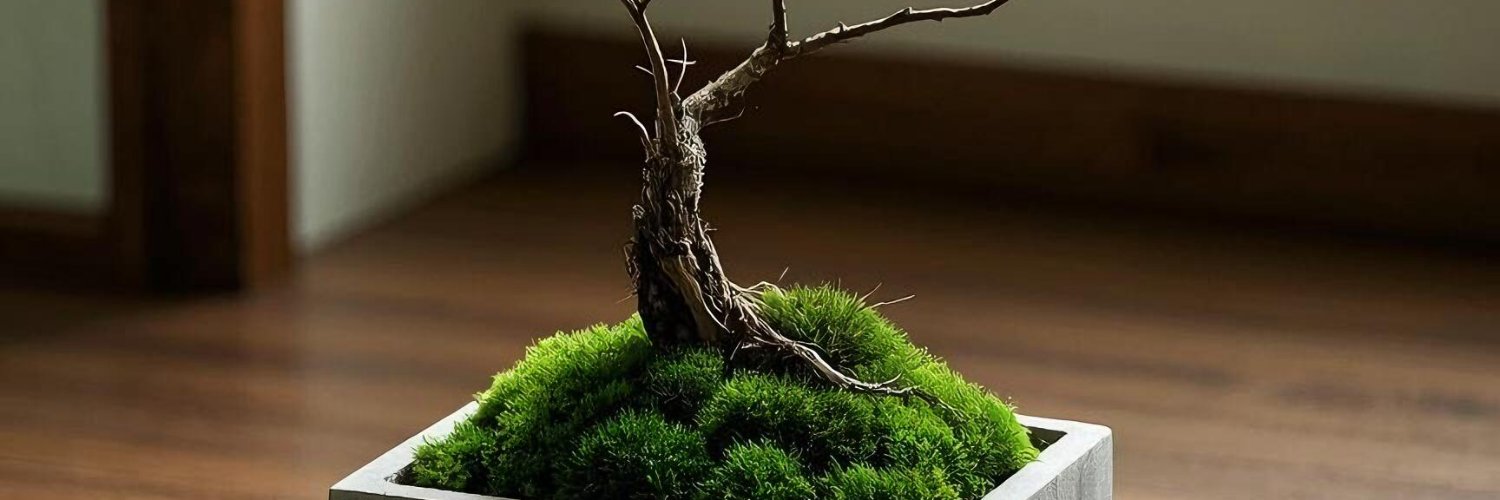 BUrdiroz14's profile banner image