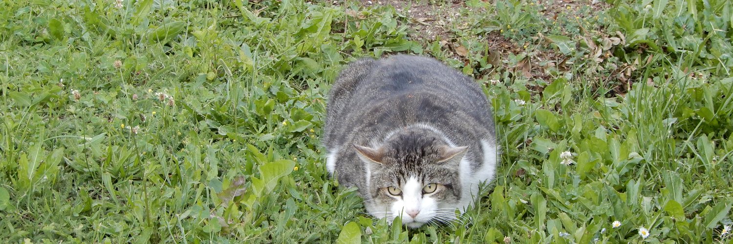 ❀❀❀ Valerija ❀❀❀🙏🏻☮️ banner