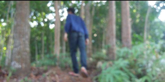 Ferrelilo P. Haryono banner
