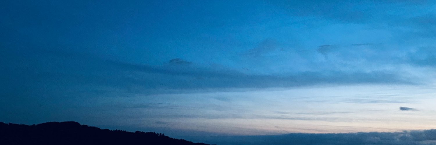 ドナウの乱痴気's banner