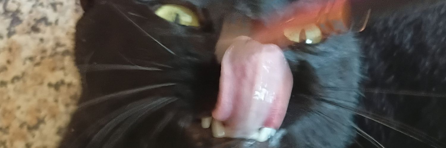 erickssonn__'s profile banner image