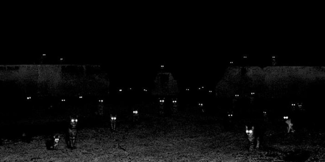 lubbyh's profile banner image