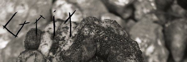 Timholehouse Profile Banner