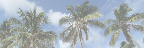 DiedeMichiels's profile banner image