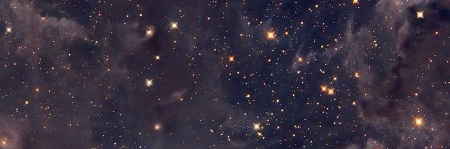 polyanaveben's profile banner image