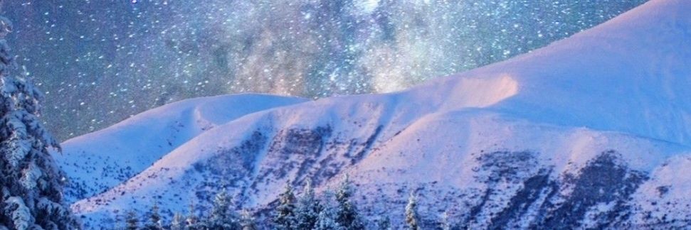 minideserttoeat's profile banner image