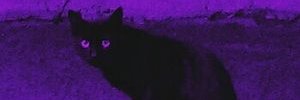aby_inkitchen's profile banner image