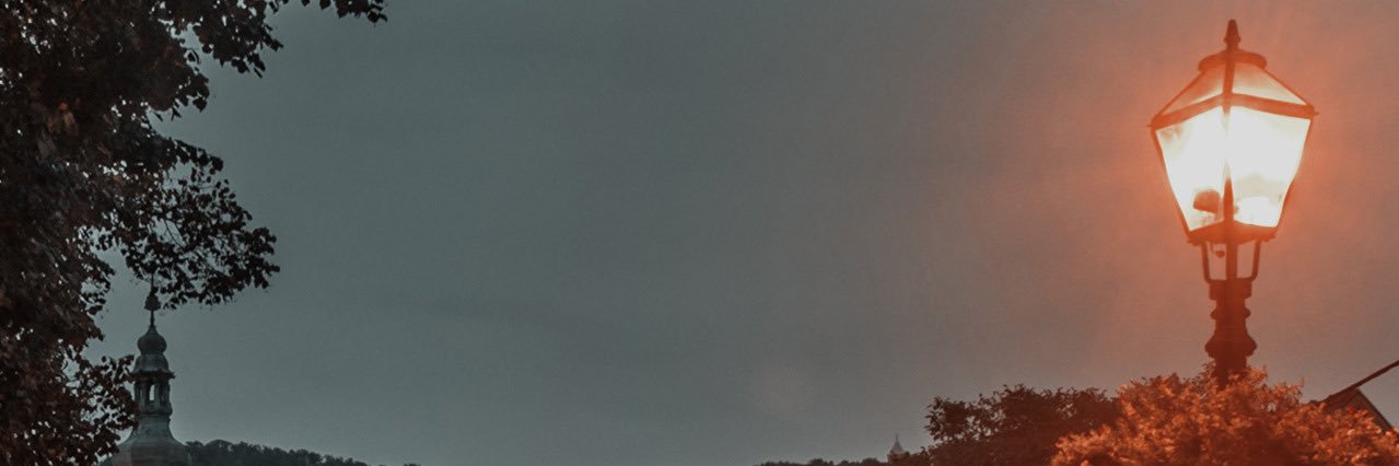 𝙩𝙮𝙡𝙚𝙧 . banner