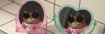 Anabeelmarquez's profile banner image